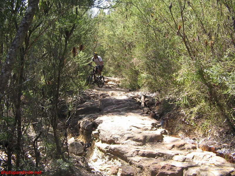 20080921-Mooney 121.jpg